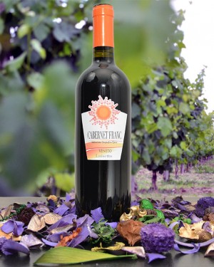 Vino Cabernet Franc