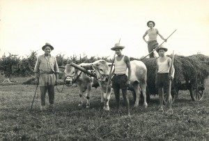 Foto storica della famiglia Luisetto