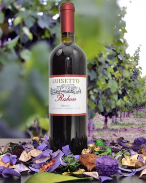 Vino Raboso